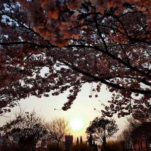 女人炉鼎的图片
