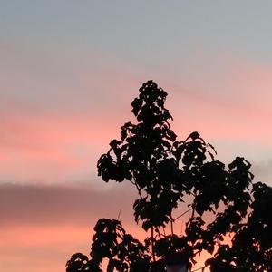 女人炉鼎的图片
