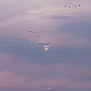 女人炉鼎的图片
